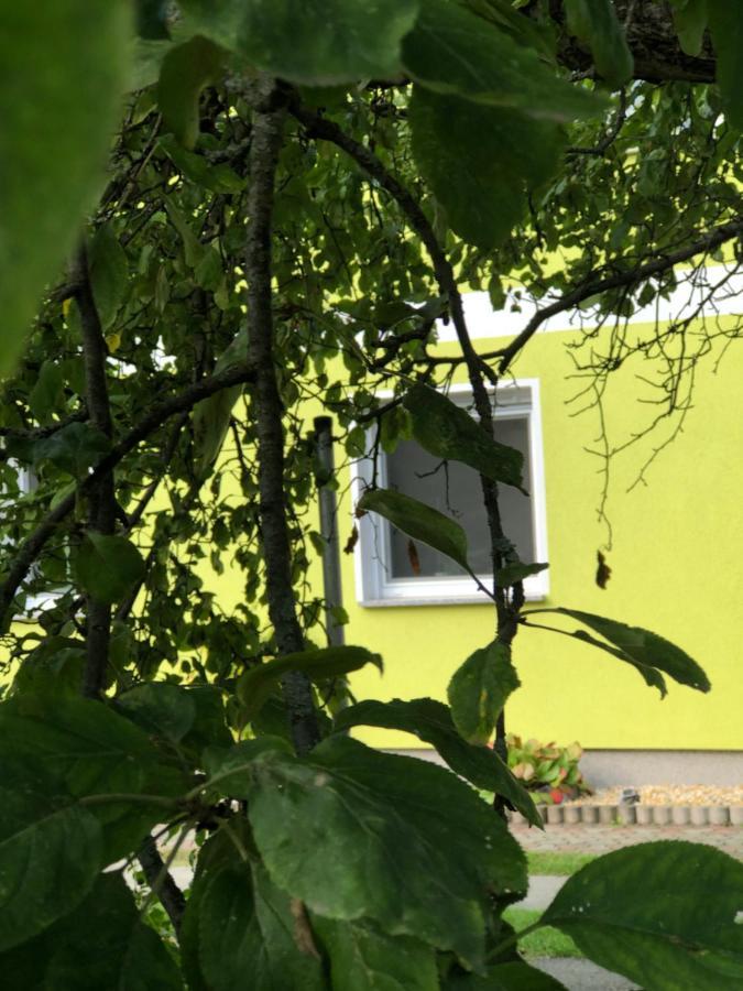 Dirks Schmuckstück Villa Weisswasser Exterior foto